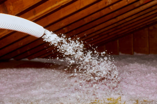 Best Home Insulation Services  in Mount Hermon, VA