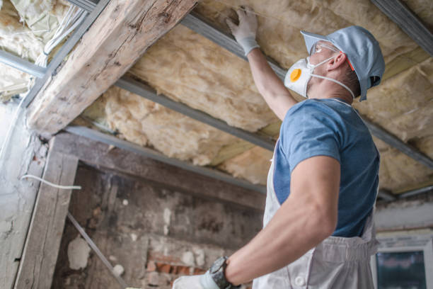 Best Insulation Inspection Services  in Mount Hermon, VA