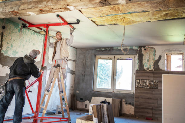 Best Professional Insulation Contractor  in Mount Hermon, VA