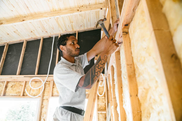 Best Cellulose Insulation  in Mount Hermon, VA