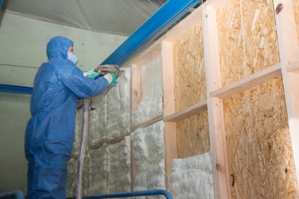 Best Affordable Insulation Services  in Mount Hermon, VA