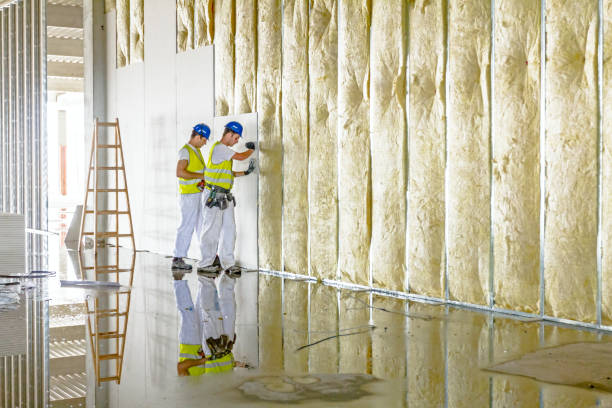 Best Insulation Removal  in Mount Hermon, VA